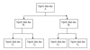 Quản lý cơ cấu tổ chức trên phần mềm quản lý nhân sự DIGINET HR